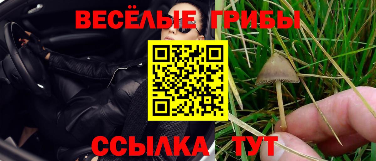 Псилоцибиновые грибы Cubensis Донецк