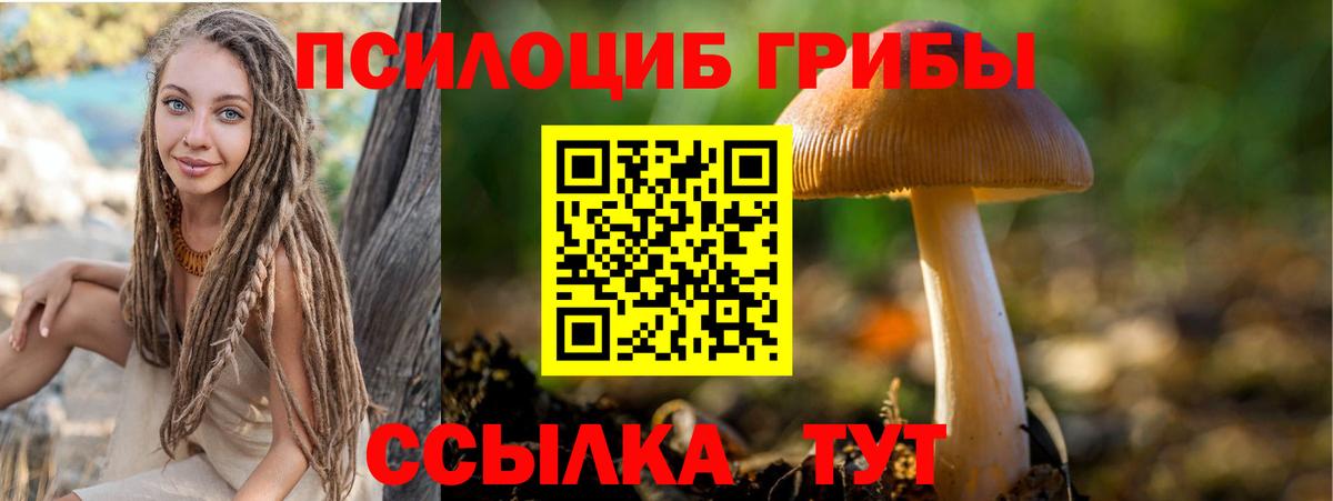 Псилоцибиновые грибы Psilocybine cubensis  наркота  Донецк  Вход с VPN 